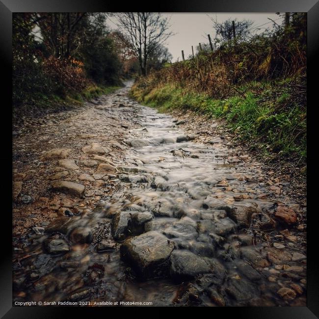 A stream running down a cobbled path Framed Print by Sarah Paddison