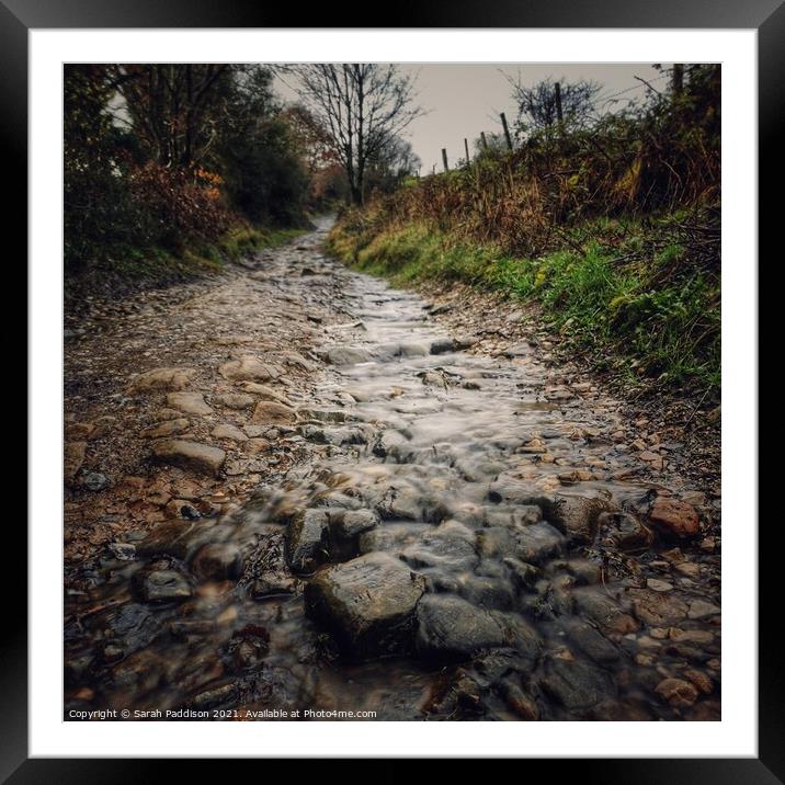 A stream running down a cobbled path Framed Mounted Print by Sarah Paddison