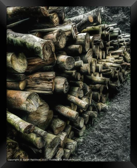 Log pile Framed Print by Sarah Paddison