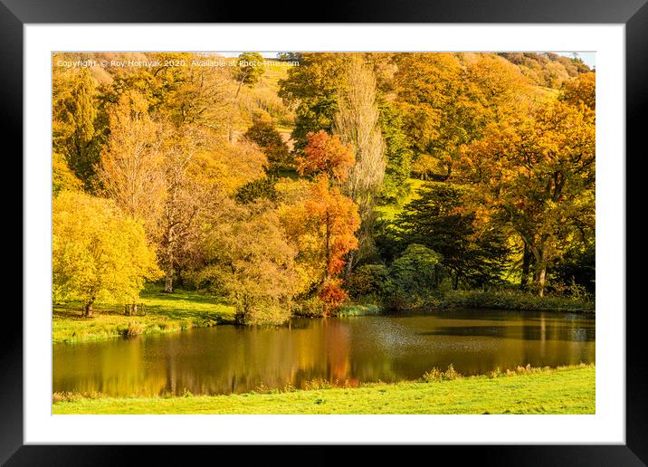 An Autumn view of the lake at Minterne House and G Framed Mounted Print by Roy Hornyak