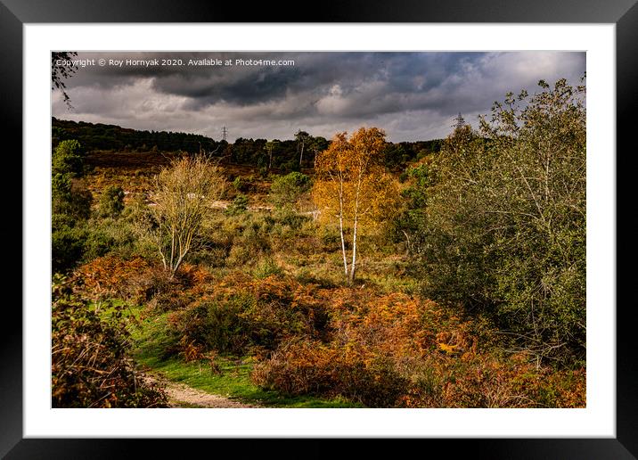A large area of trees, and heathland. Framed Mounted Print by Roy Hornyak