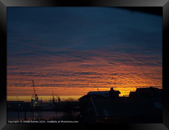 another Dawn over the Docks Framed Print by Sheila Eames