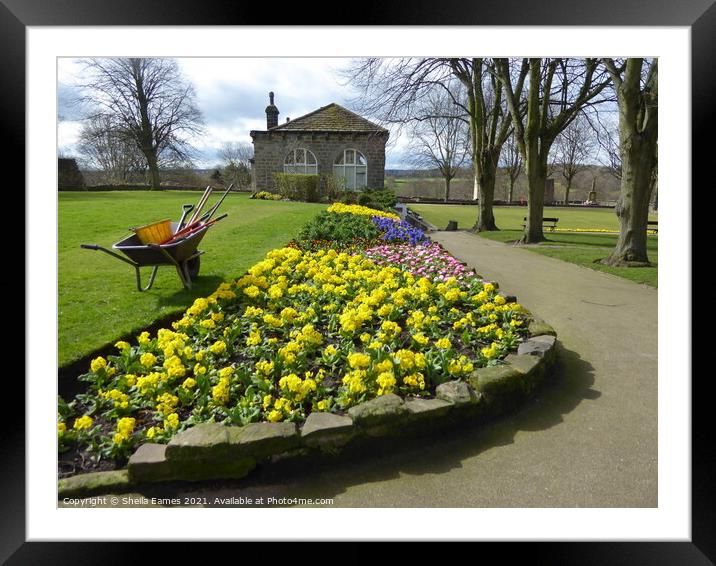 Flower Bed at Knaresborough Castle Gardens Framed Mounted Print by Sheila Eames