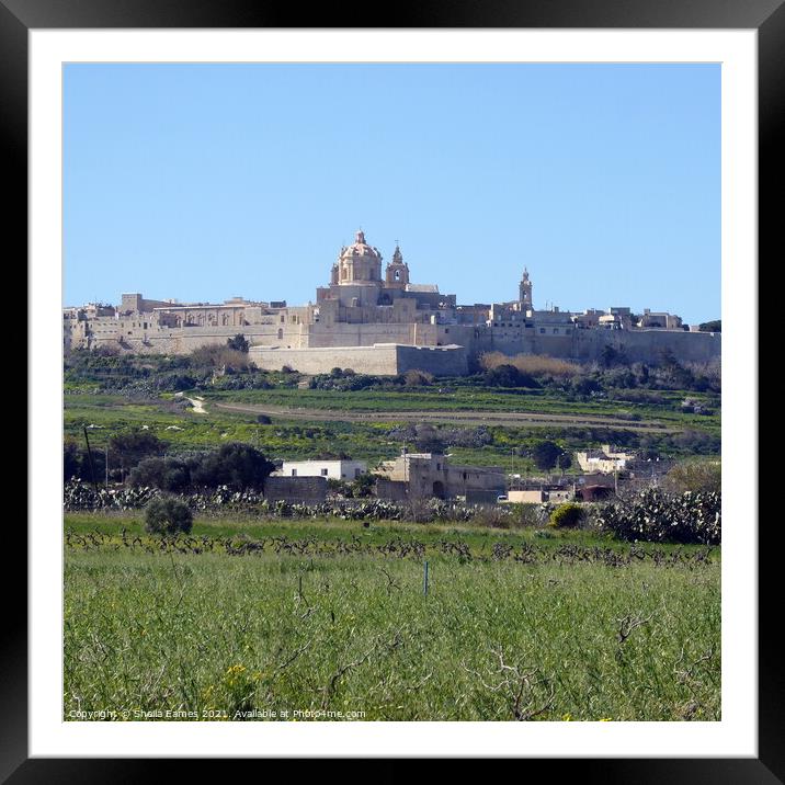 St Paul’s Cathedral, Mdina, Malta, from a distance Framed Mounted Print by Sheila Eames
