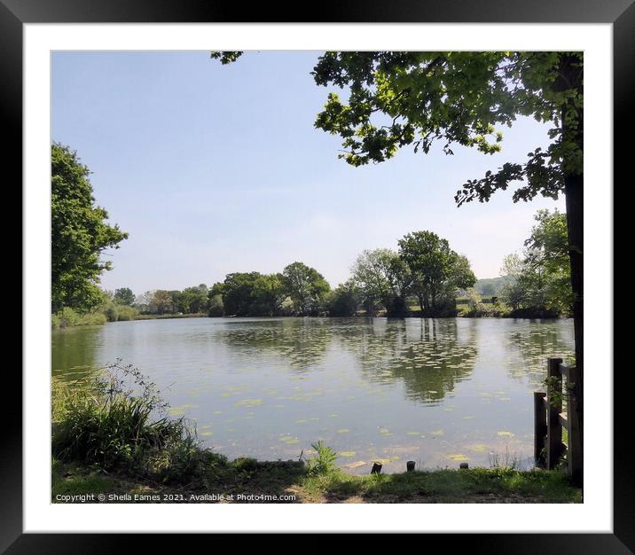 Barden Fishing Lake  Framed Mounted Print by Sheila Eames