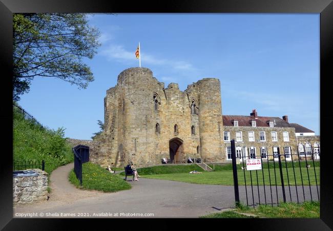 Tonbridge Castle Framed Print by Sheila Eames