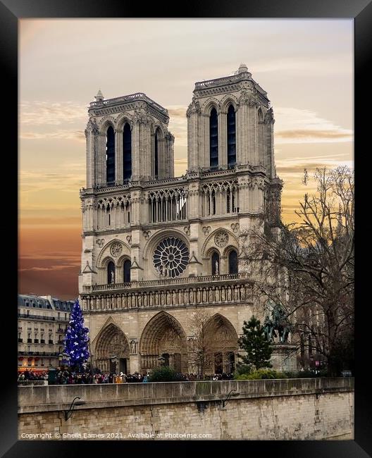 Notre Dame de Paris from the River Framed Print by Sheila Eames