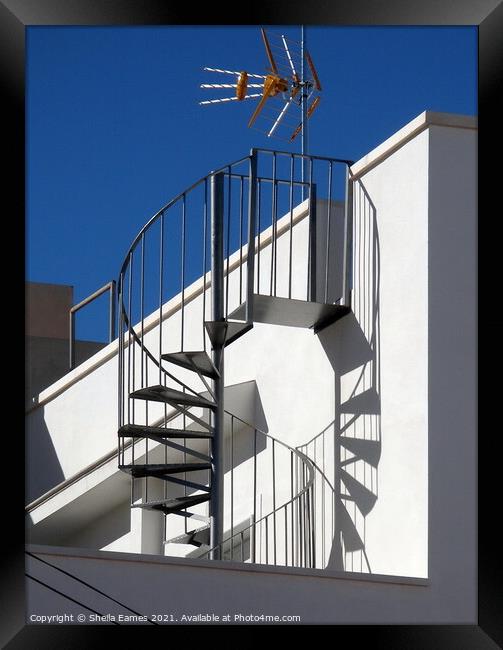 Spiral Staircase and Shadow Framed Print by Sheila Eames