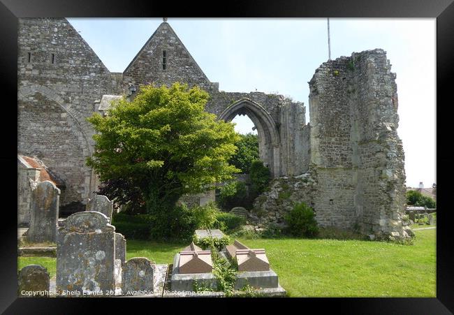 St. Thomas the Martyr Church Ruins in Winchelsea, Sussex, England Framed Print by Sheila Eames