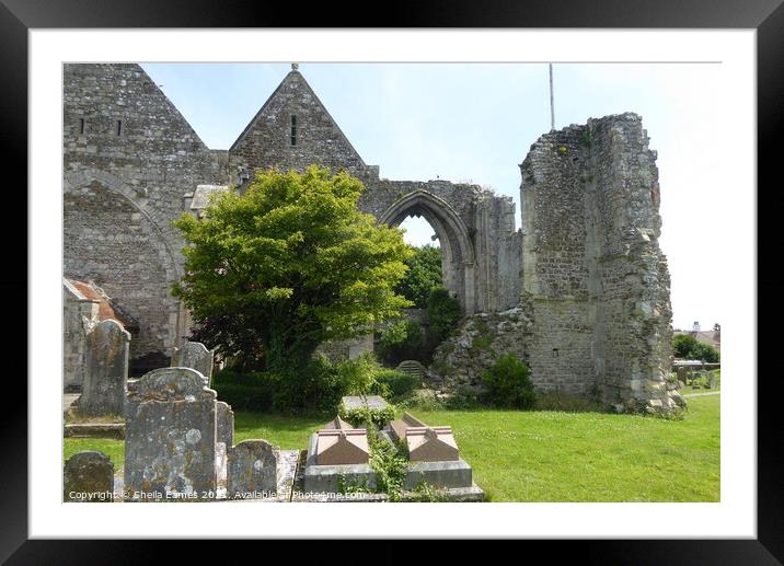 St. Thomas the Martyr Church Ruins in Winchelsea, Sussex, England Framed Mounted Print by Sheila Eames