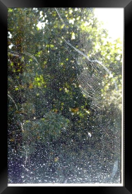 Rain on the Window, or Alien Space Framed Print by Sheila Eames