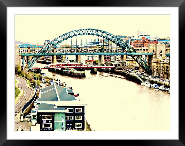 Port of Tyne Bridges and River in sort of sepia Framed Mounted Print by Sheila Eames