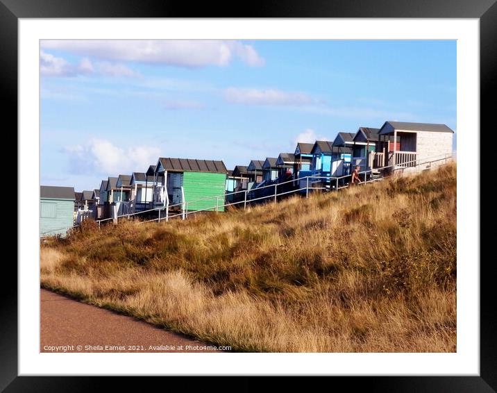 Beach Huts at Tankerton,, Kent, UK Framed Mounted Print by Sheila Eames
