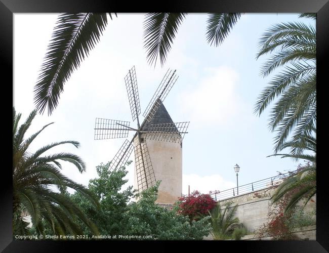Windmill in Majorca  Framed Print by Sheila Eames