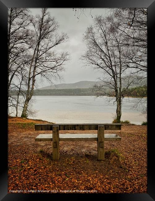 Loch Morlich in Autumn Framed Print by Ashley Bremner