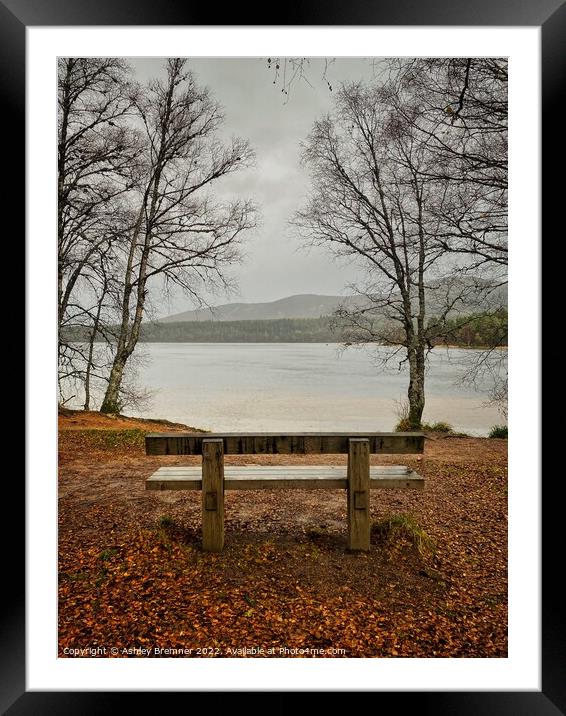 Loch Morlich in Autumn Framed Mounted Print by Ashley Bremner