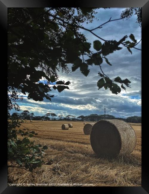 The Fields of Hay  Framed Print by Ashley Bremner
