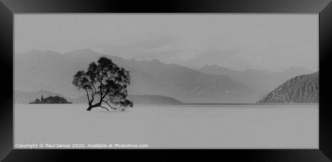 The lone tree at Wanaka Framed Print by Paul James