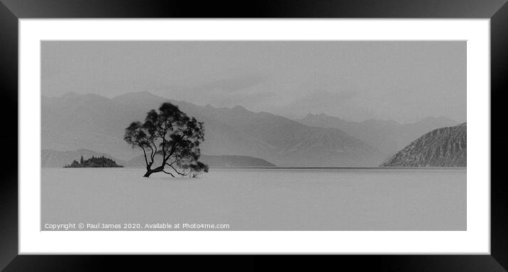The lone tree at Wanaka Framed Mounted Print by Paul James