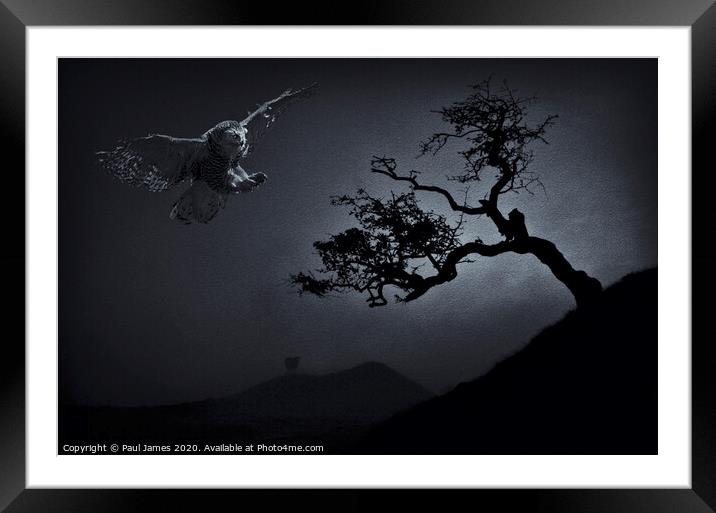 Night hunter Framed Mounted Print by Paul James