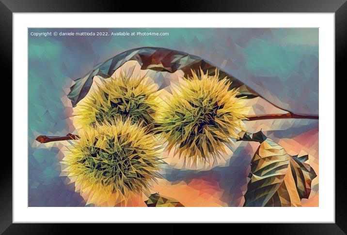 POLY ART on set of curls containing chestnuts Framed Mounted Print by daniele mattioda