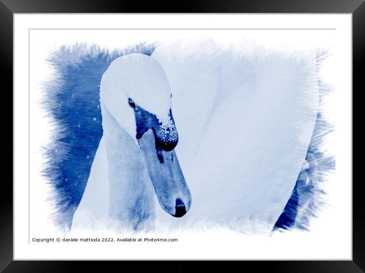 CIAYNOTYPE EFFECT on the white swan  Framed Mounted Print by daniele mattioda
