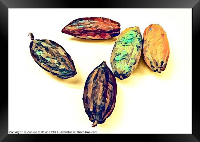 POLY ART on close-up of the fruit of the cocoa plant Framed Print by daniele mattioda