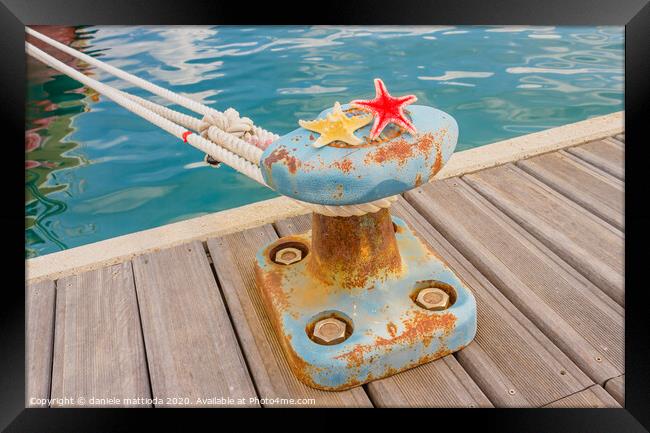 detail of a bollard with two starfishes and a rope Framed Print by daniele mattioda