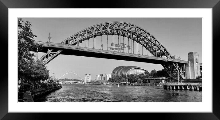 Tyne Bridges Monochrome Framed Mounted Print by Michele Davis