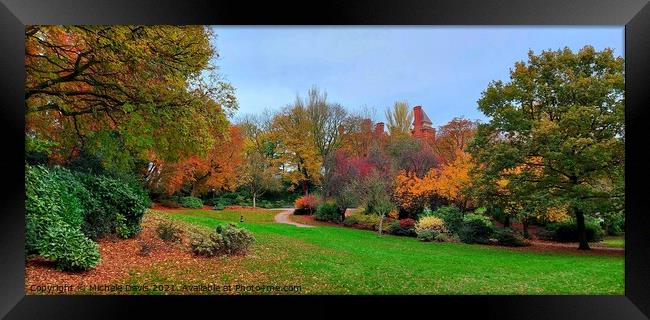 Miller Park Preston, Autumn Framed Print by Michele Davis