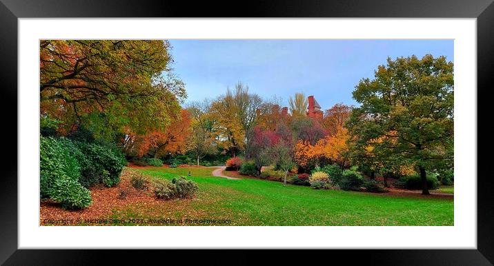 Miller Park Preston, Autumn Framed Mounted Print by Michele Davis