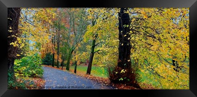 Hurst Grange Park, Autumn Framed Print by Michele Davis
