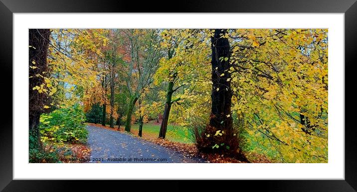 Hurst Grange Park, Autumn Framed Mounted Print by Michele Davis