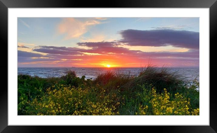 Fleetwood Sand Dunes Sunset Framed Mounted Print by Michele Davis