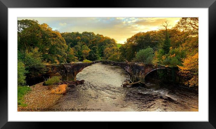 Cromwell's Bridge Autumn Framed Mounted Print by Michele Davis