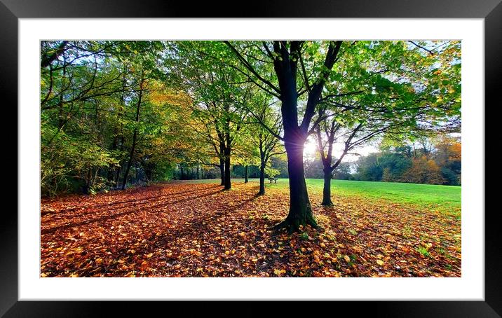 Autumn Park, Preston Framed Mounted Print by Michele Davis