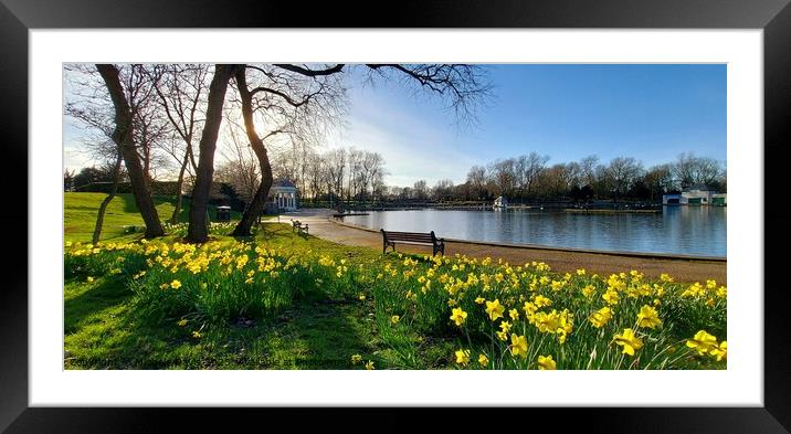 Stanley Park, Spring Framed Mounted Print by Michele Davis