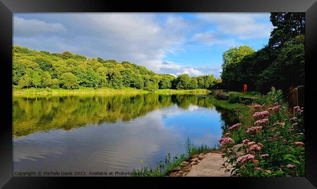 Yarrow Valley Country Park Framed Print by Michele Davis