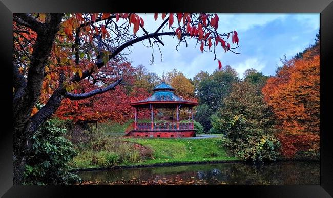 Sefton Park Bandstand Autumn Framed Print by Michele Davis