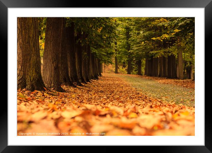 woods autumn magic in a park Framed Mounted Print by susanna mattioda