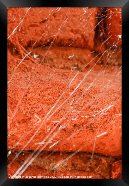 a tangled cobweb on an old brick wall Framed Print by susanna mattioda