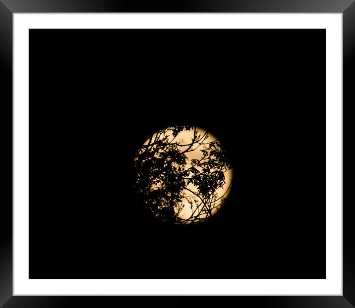 Silhouette moon Framed Mounted Print by Sam Owen