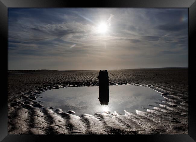 Moonlight  Framed Print by Sam Owen