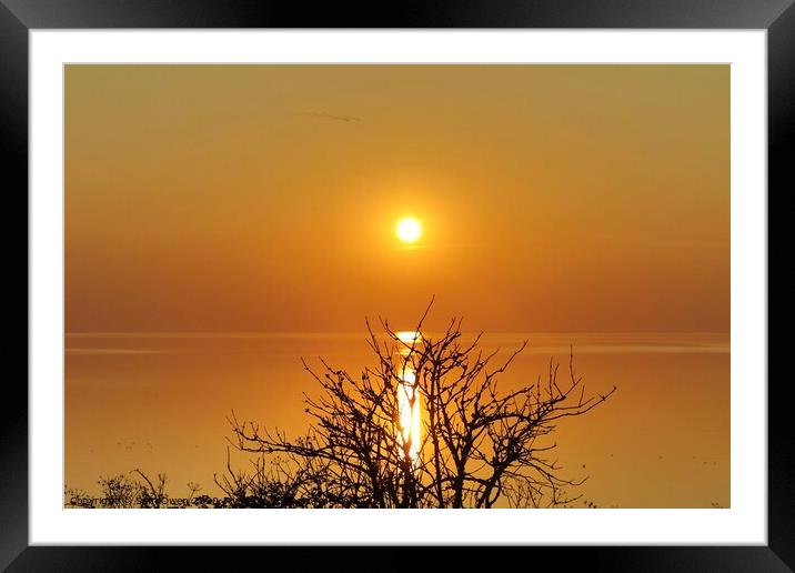 Sky sun Framed Mounted Print by Sam Owen
