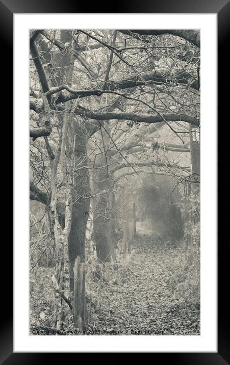 Frosty pathway  Framed Mounted Print by Sam Owen