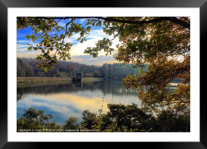 Plant tree Framed Mounted Print by AJS Photography