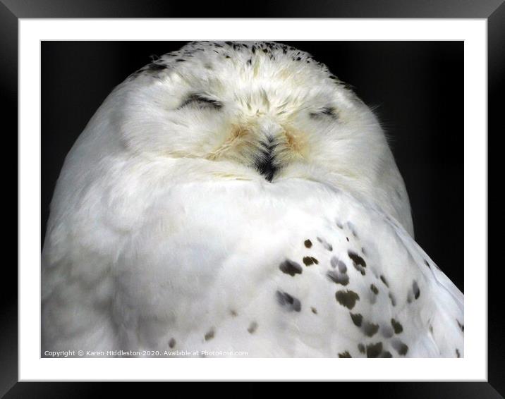 A bird sitting on top of an owl Framed Mounted Print by Karen Hiddleston