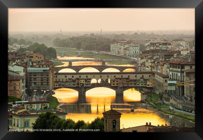  Ponte Vecchio enlighten by the warm sunlight, Florence. Framed Print by Antonio Gravante