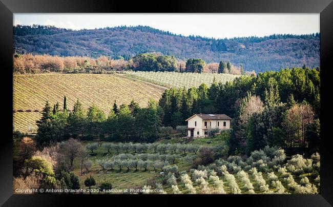 Tuscan landscape with cypress, trees and ancient buildings. Framed Print by Antonio Gravante