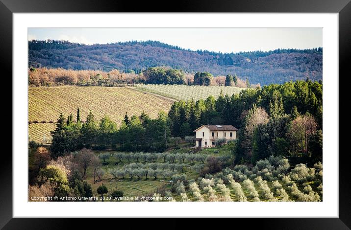Tuscan landscape with cypress, trees and ancient buildings. Framed Mounted Print by Antonio Gravante